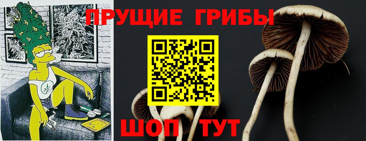 Саяногорск  Псилоцибиновые грибы Magic Shrooms  Вход с VPN  Псилоцибиновые грибы прущие грибы 